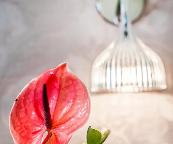 Doge 4* Milano Marittima